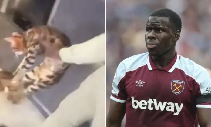Zouma will appear in court for kicking his cats