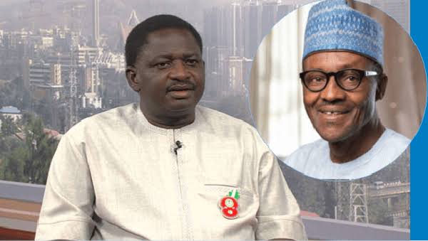 Nigerians also blame Buhari for their poor performance in bed – Adesina