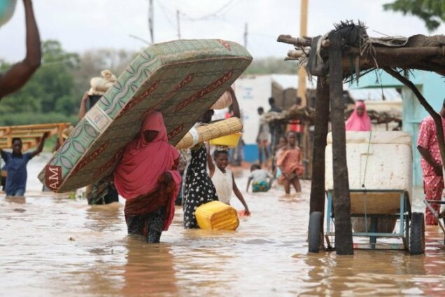 Over 50 killed by flood in Adamawa