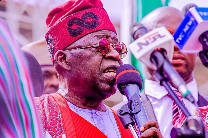 Why Tinubu is being ‘bannonized’ 